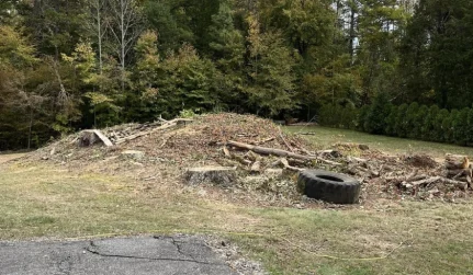 Commercial Land Clearing