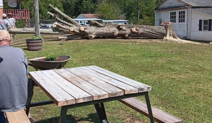 Residential Tree Removal