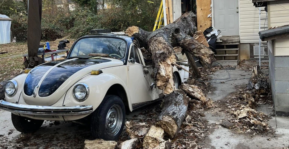 Storm Damage Tree Services
